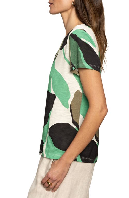 Sanctuary The Perfect T-shirt In Palm Shadow