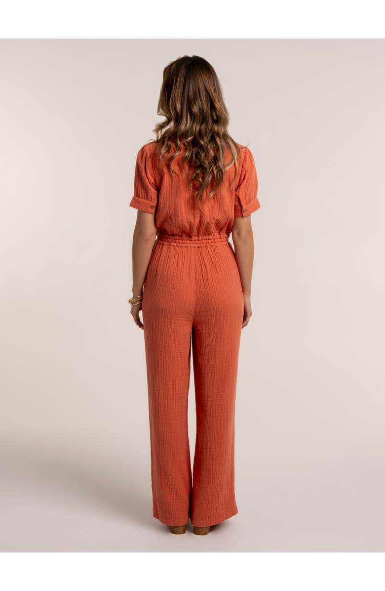 Brakeburn Angra Jumpsuit, Alternate, color, Rust