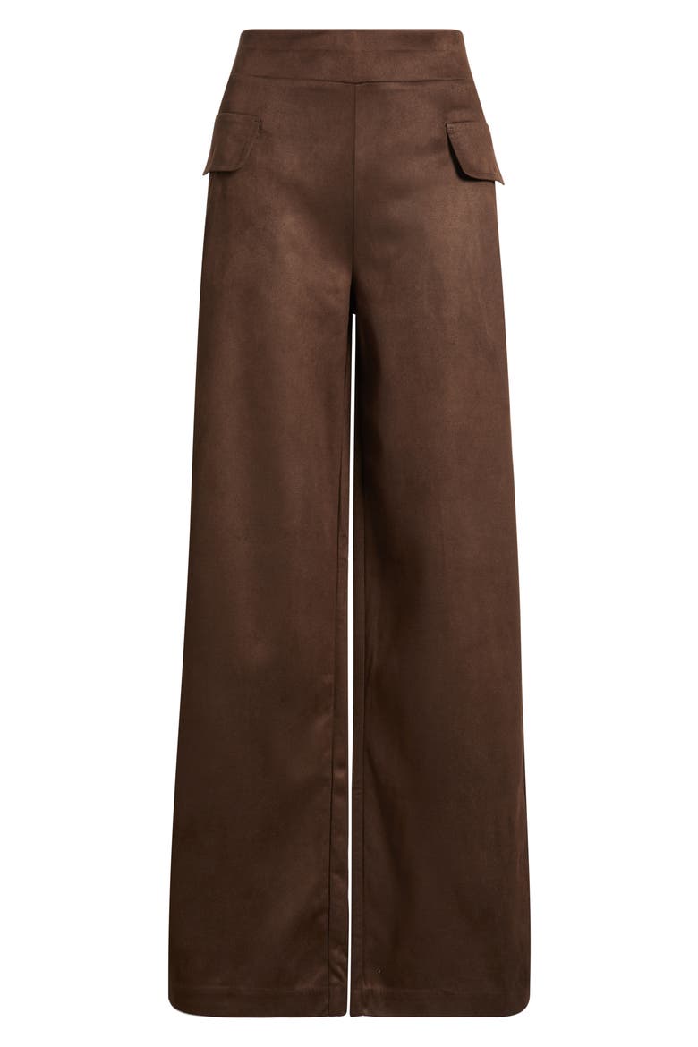 Faux Suede Wide Leg Pants, Alternate, color, COFFEE BEAN