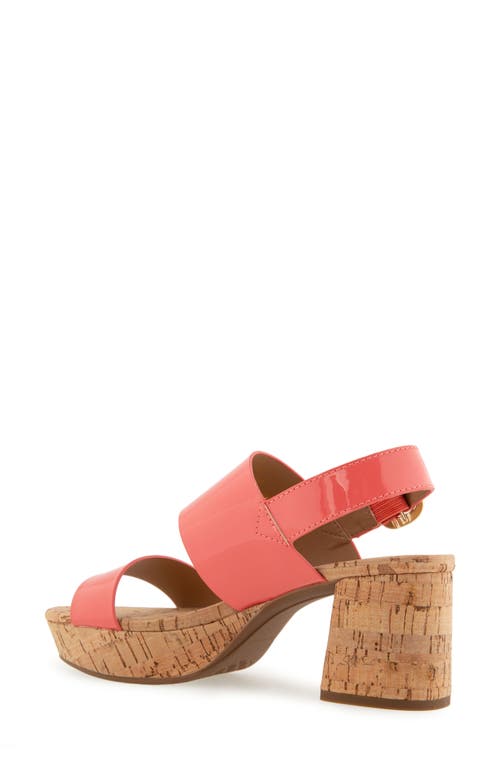 AEROSOLES AEROSOLES CAMERA PLATFORM SANDAL