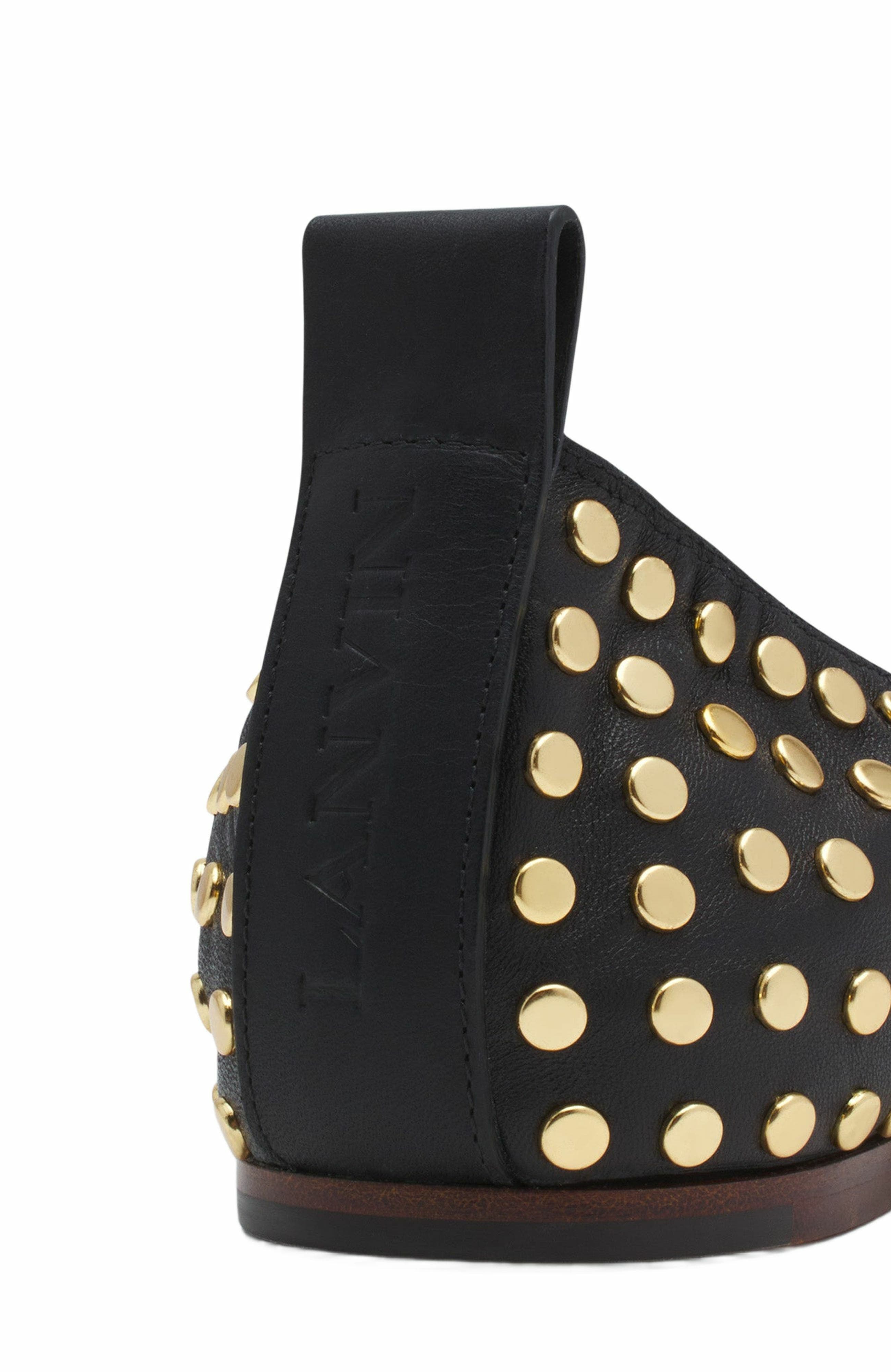 Lanvin The Leather Ballerina Flat With Studs, Alternate, color, 