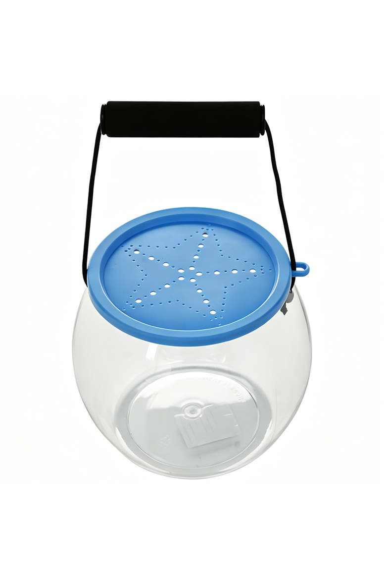 Observation Aquarium, Main, color, Multicolored