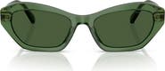 Swarovski 54mm Cat Eye Sunglasses