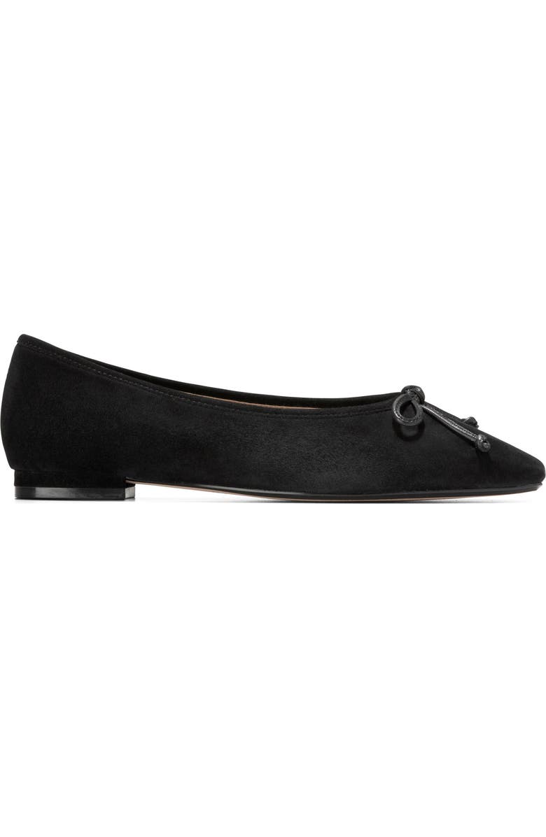 Cole Haan Bethany Ballerina Flat, Alternate, color, Black Suede