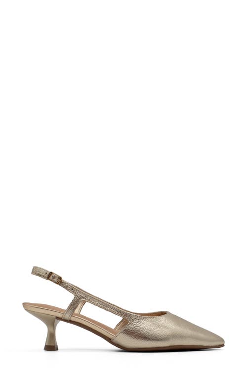 Bottero Botolivia Legacy Pointed Toe Slingback Pump