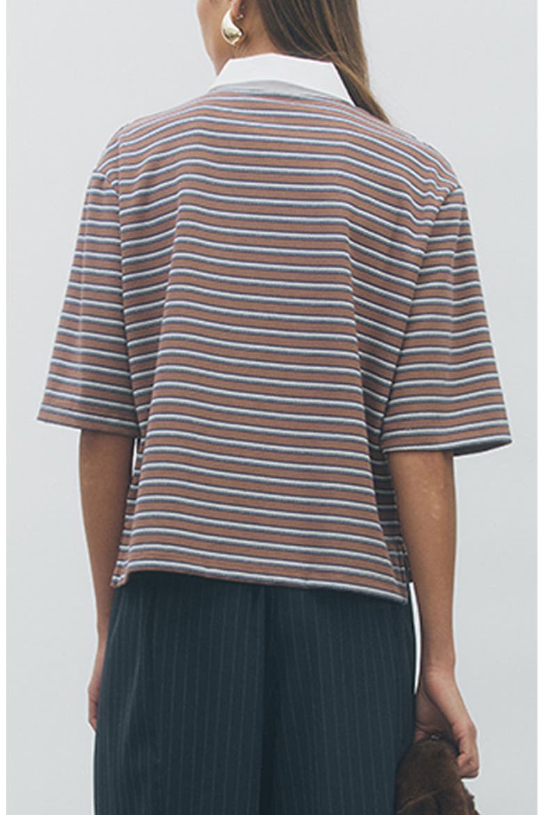 Frankie Striped Polo Top, Alternate, color, BROWN NAVY