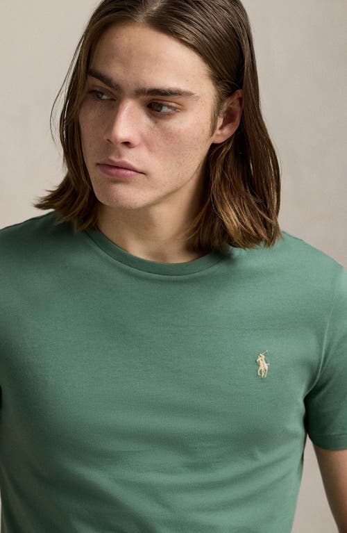 Polo Ralph Lauren Classic Fit Logo Graphic T-shirt