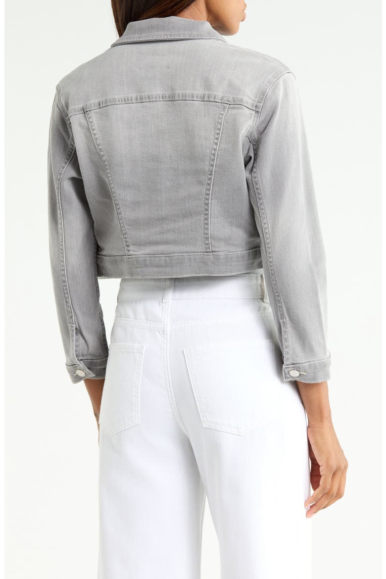 Koda Cropped Jacket, Alternate, color, BARRON