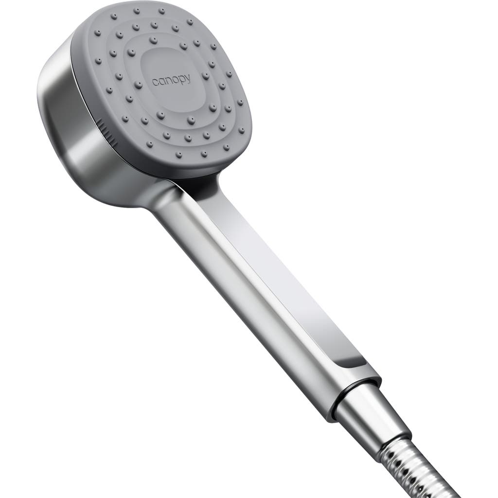 Canopy Filtered Handheld Showerhead In Silver