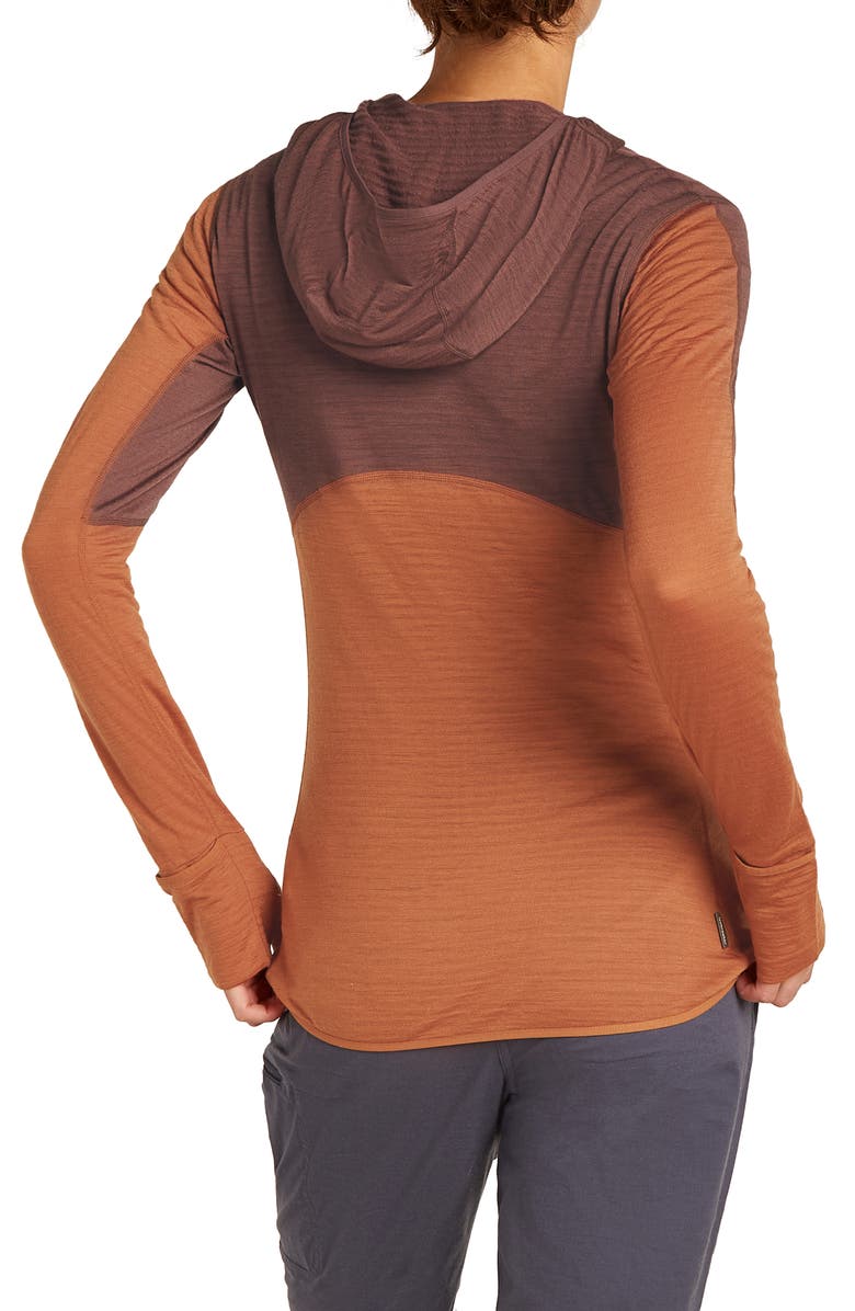 Icebreaker Tencel & Merino 200 Realfleece Descender Zip Hoodie, Alternate, color,