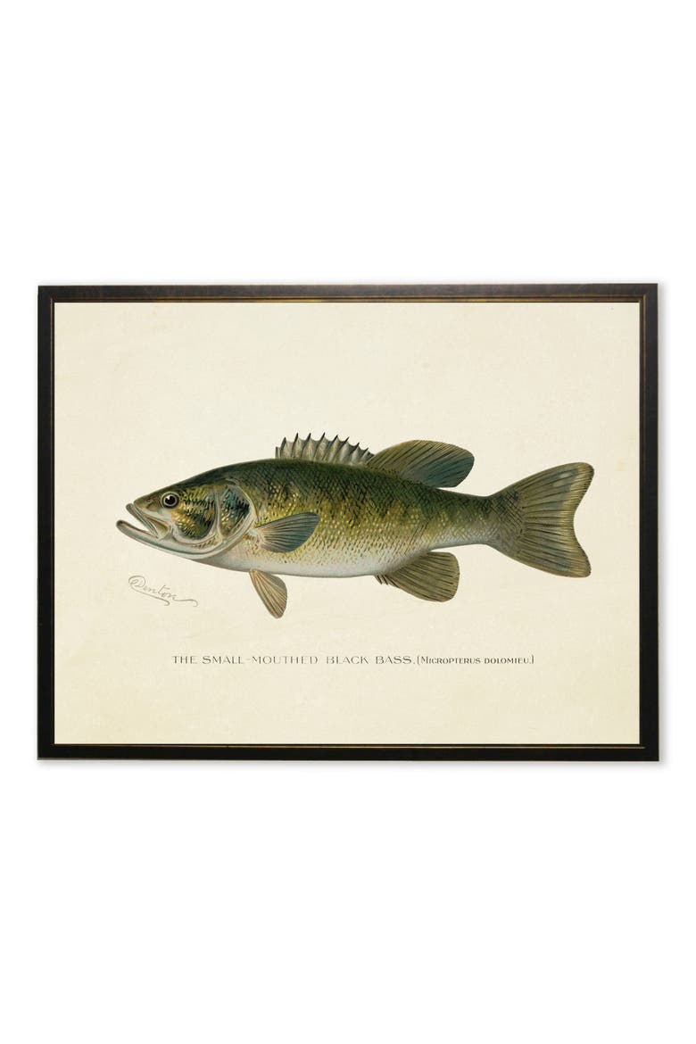Small-Mouthed Black Bass Print in Copper and Black Frame, Main, color, Multi
