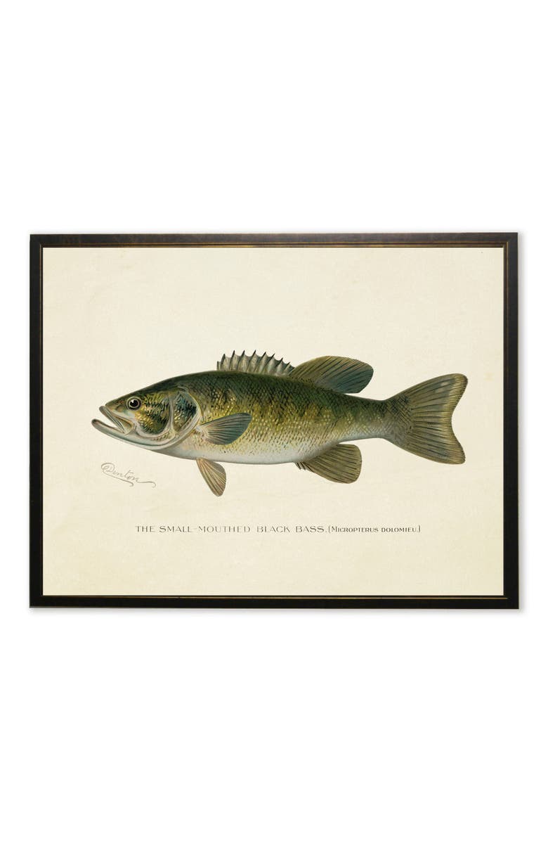 Antique Curiosities Small-Mouthed Black Bass Print in Copper and Black Frame, Main, color, Multi