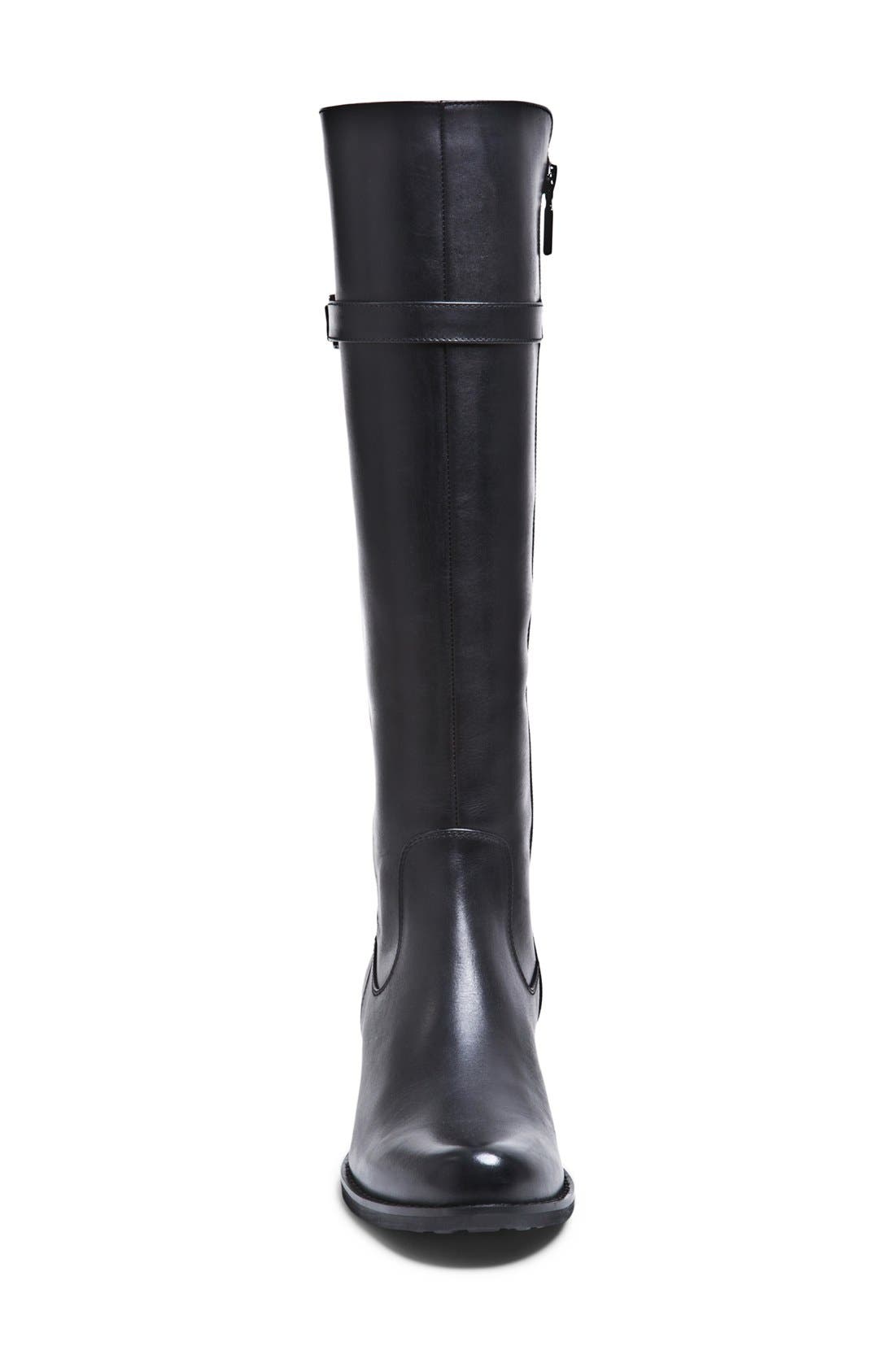 Blondo 'Viva' Waterproof Tall Boot, Alternate, color, 