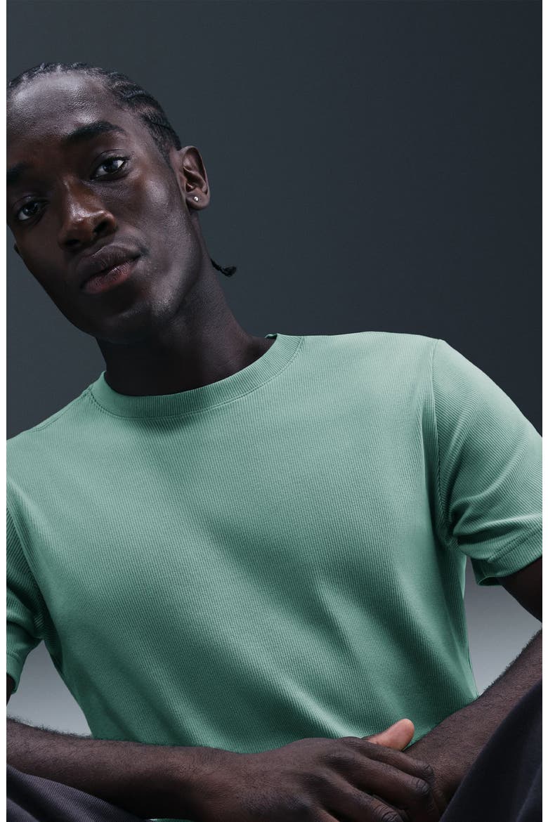 Rib Short Sleeve T-Shirt, Alternate, color, CANNON