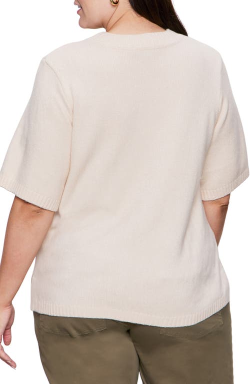 Sanctuary Perfect Short Sleeve Sweater In Neutral