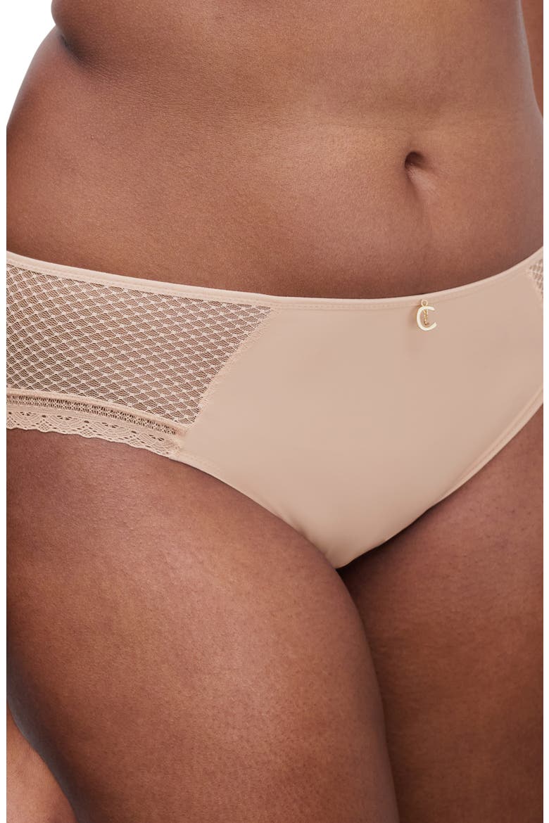 Lace Trim Hipster Briefs, Alternate, color, NUDE BLUSH