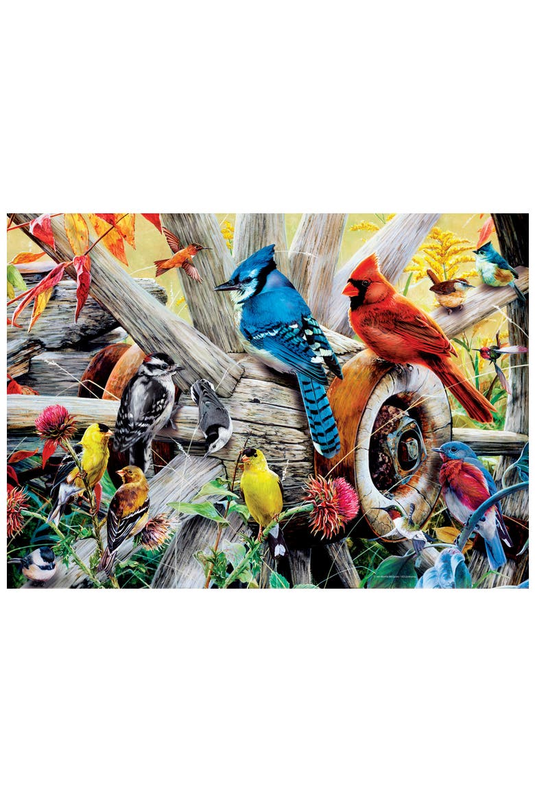 Backyard Birds 1000 Piece Jigsaw Puzzle, Alternate, color, Multicolor