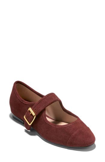 Cole Haan Raquelle Mary Jane Ballet Flat In Hickory Suede