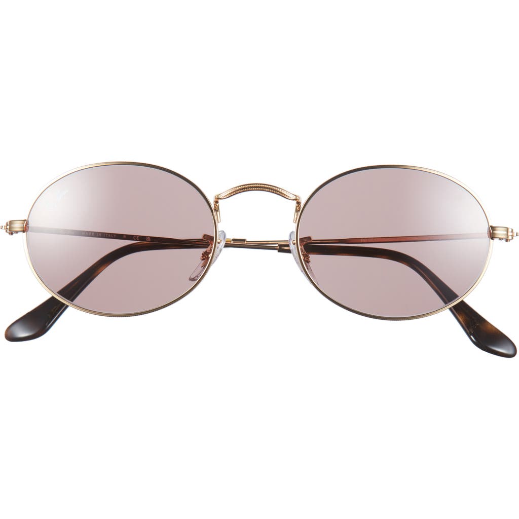 Ray Ban Ray-ban Oval 51mm Sunglasses In Arista Gold