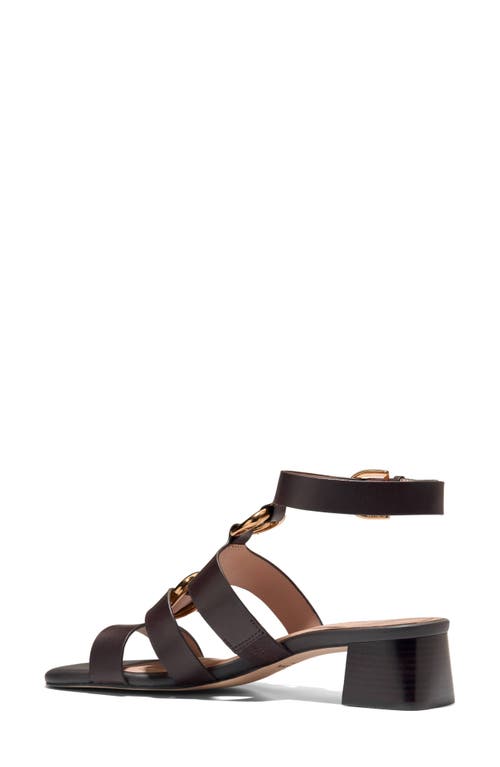 Cole Haan Lyanna Link Ankle Strap Sandal
