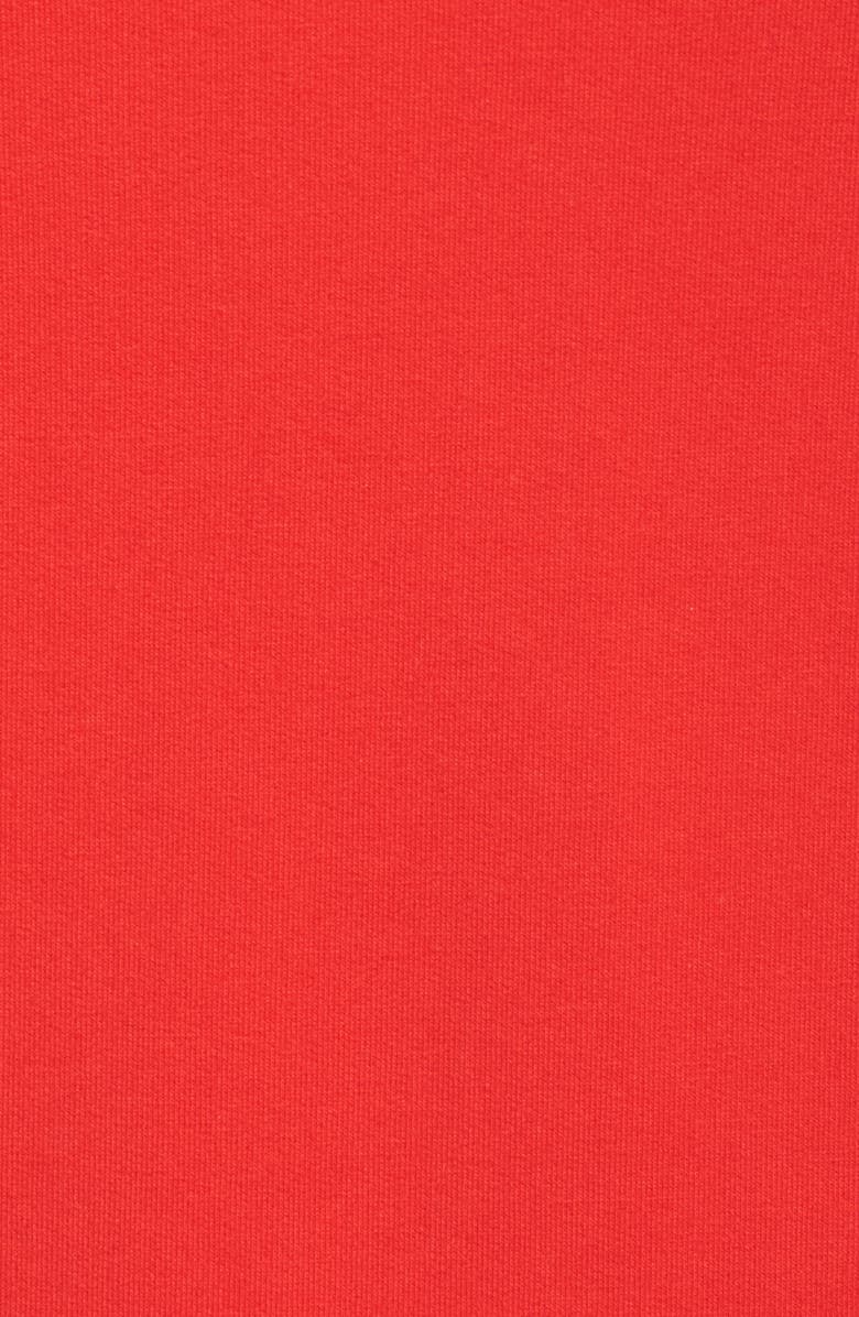 ELVI The Snapdragon Ruffle Sleeve Hoodie Dress, Alternate, color, 