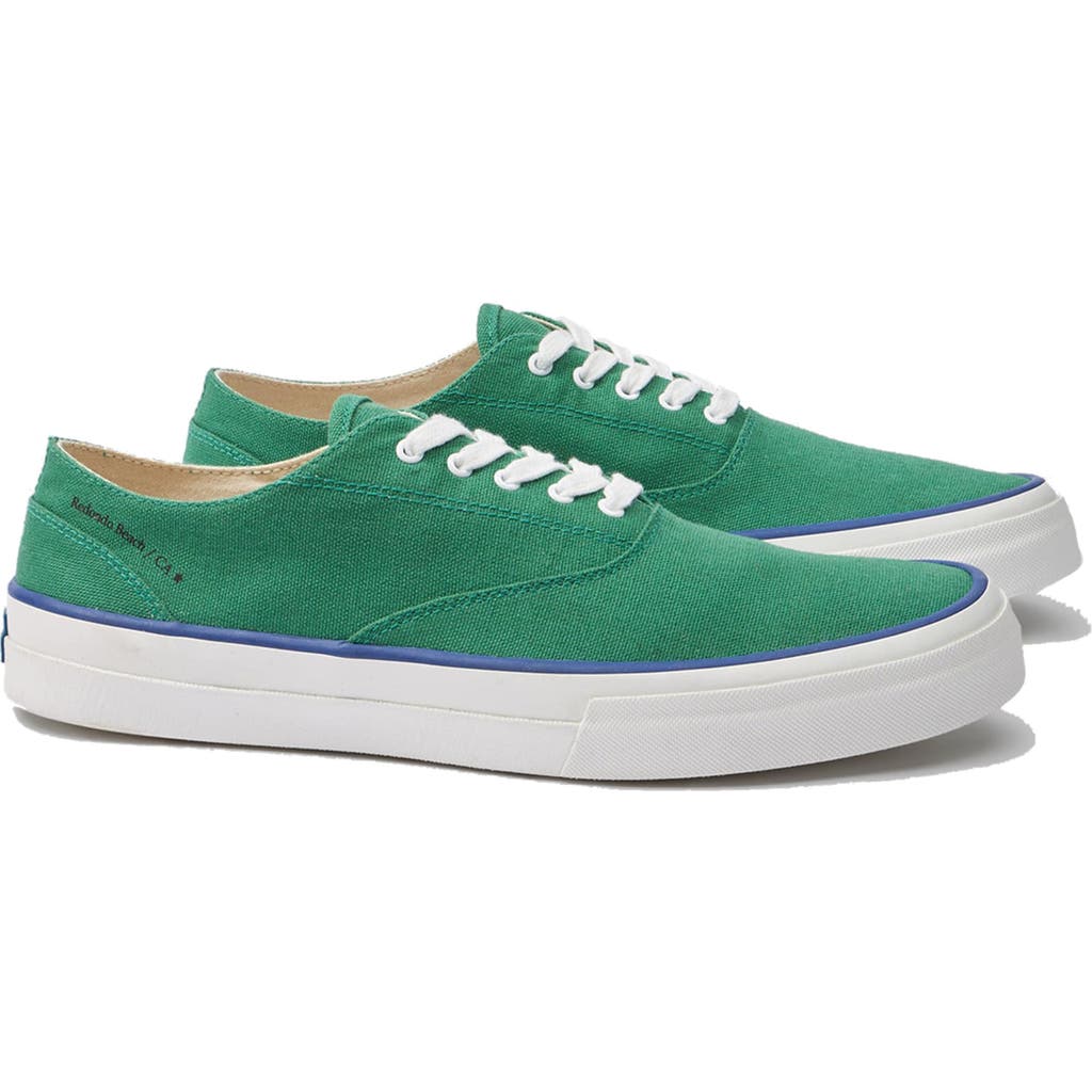 Fortela Redondo Canvas Sneakers By Mr. Fliks In Multi