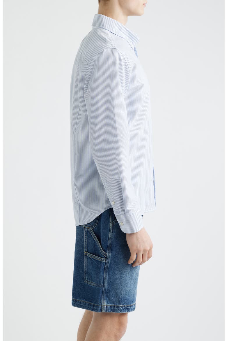 Stripe Cotton Button-Down Oxford Shirt, Alternate, color, BLUE