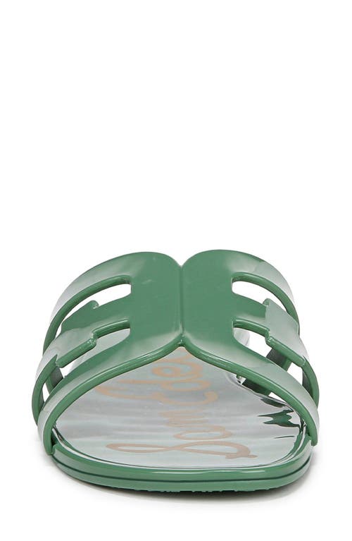 Sam Edelman Bay Jelly Slide Sandal Green Garden Jelly In Green Garden
