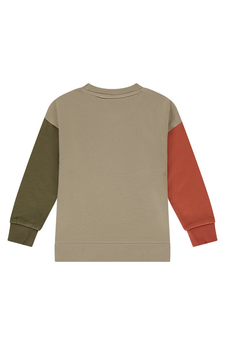 Stains and Stories by Babyface Colorblock Crewneck Sweatshirt, Alternate, color, Kit