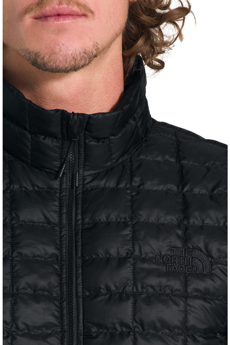 ThermoBall™ Eco Packable Jacket, Alternate, color, TNF BLACK MATTE