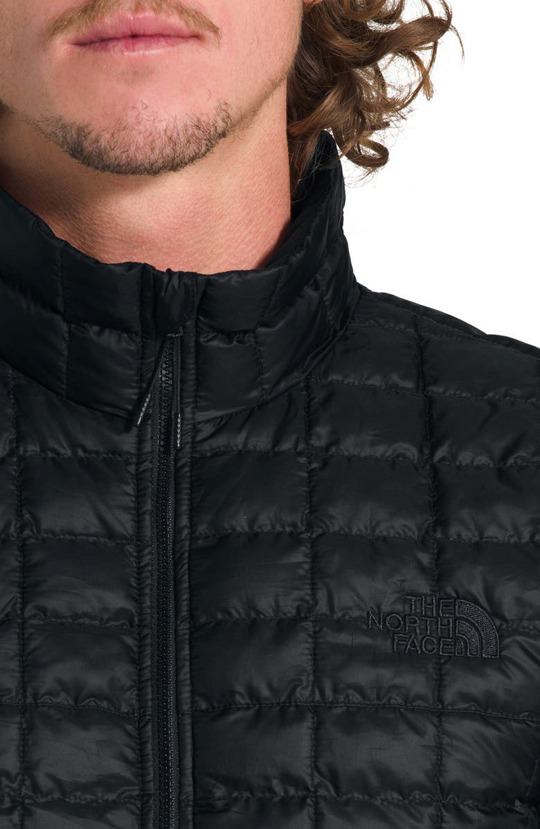 The North Face ThermoBall<sup>™</sup> Eco Packable Jacket, Alternate, color, 