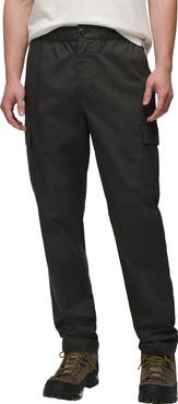 prAna Palisades Organic Cotton Blend Cargo Pants