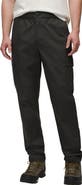 prAna Palisades Organic Cotton Blend Cargo Pants