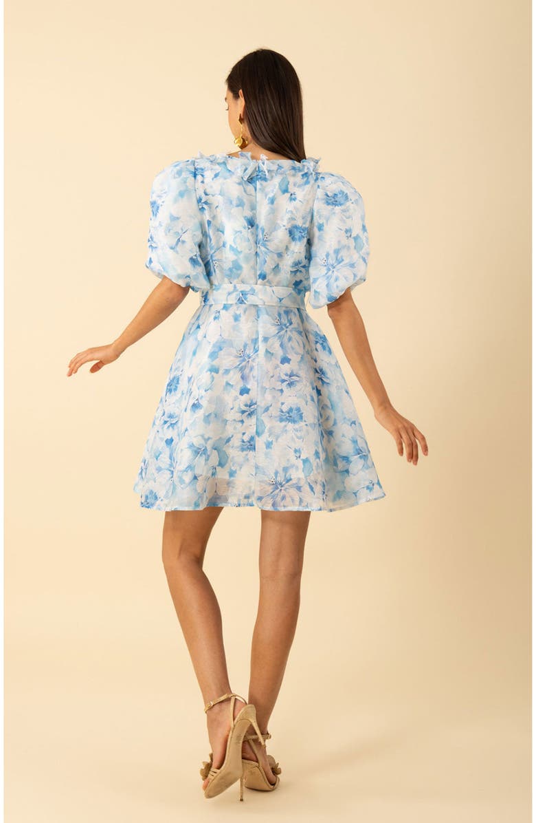 Hale Bob Promise Floral Organza Dress, Alternate, color, 