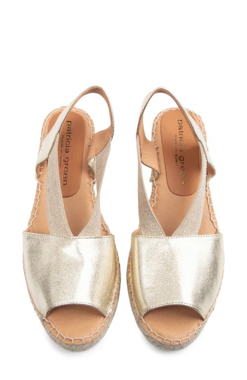 Shop Patricia Green Gracie Espadrille Wedge Sandal In Gold Leather