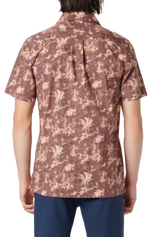 Bugatchi Jackson Shaped Fit Palm Tree Print Button-up Camp Shirt In Brown