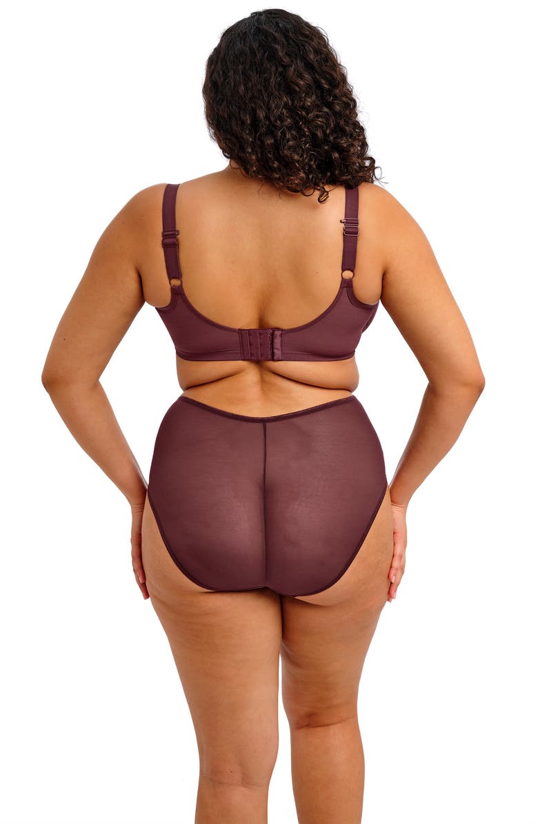 Elomi Matilda Full Figure Embellished Briefs, Alternate, color, Sugarplum