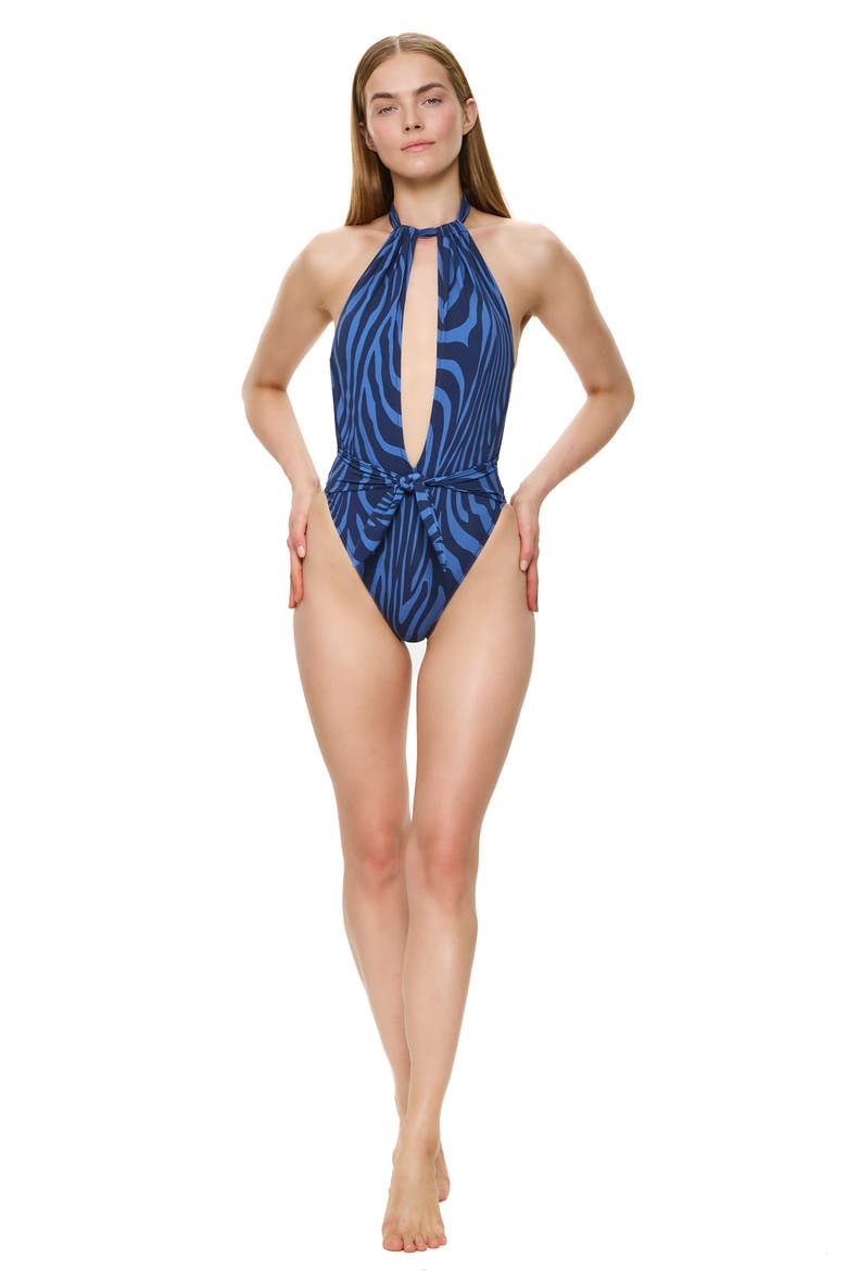 Tanzania Halter Neck Deep Plunge One Piece Swimsuit, Alternate, color, Blue-Multi