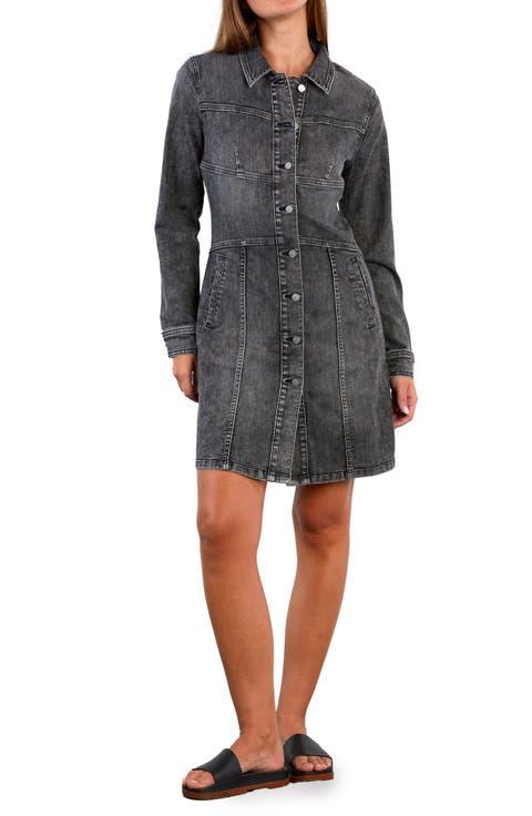 Wisp Long Sleeve Stretch Denim Dress