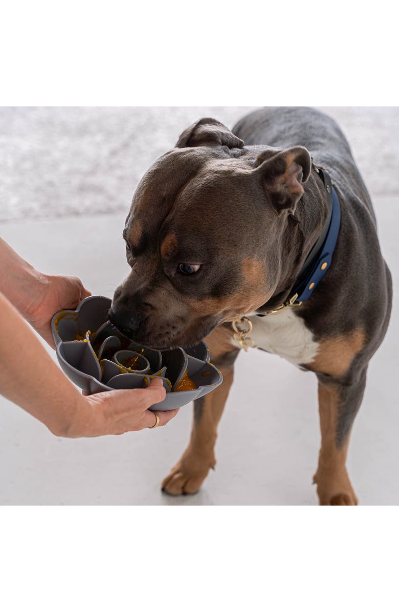 Dexypaws Slow Feeder, Alternate, color, 