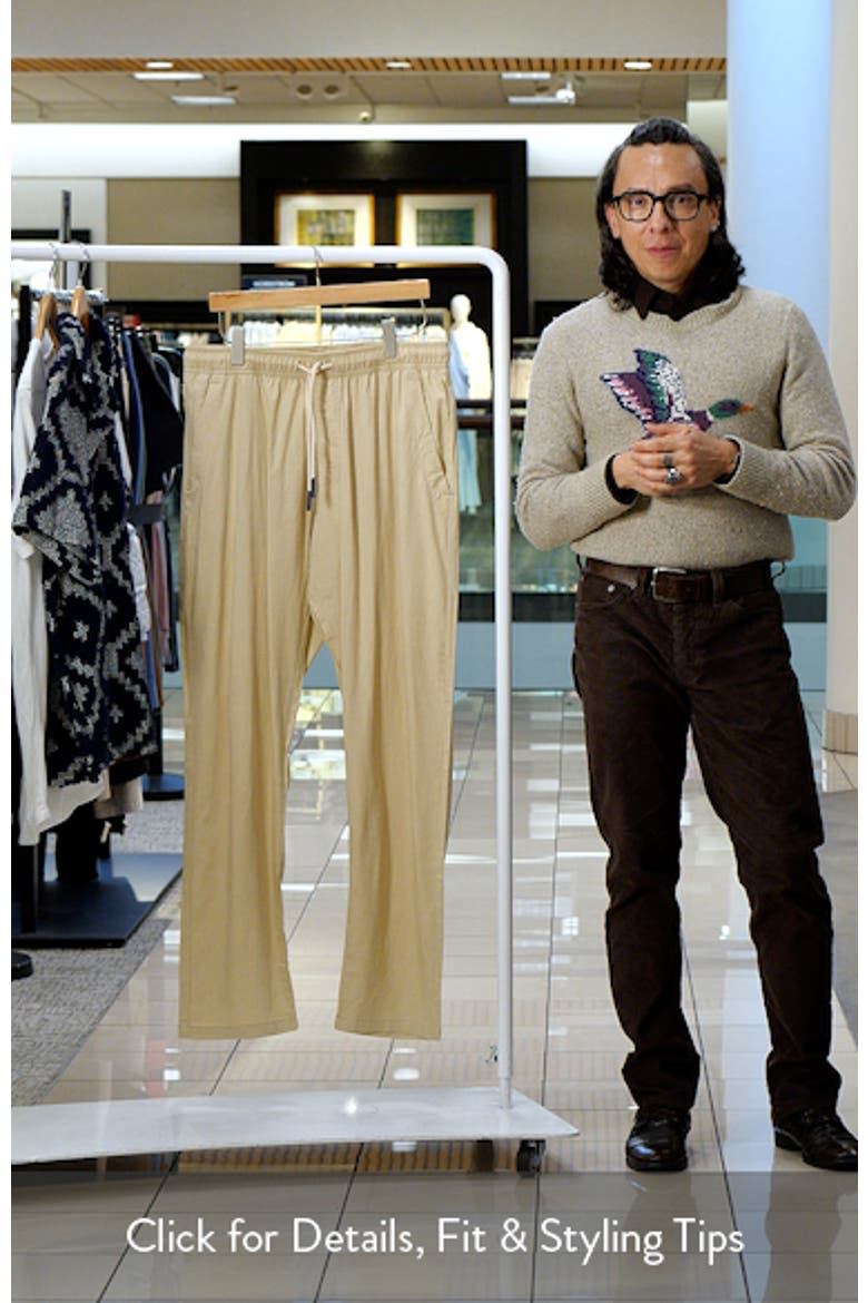 Regular Fit Linen & Cotton Drawstring Pants video
