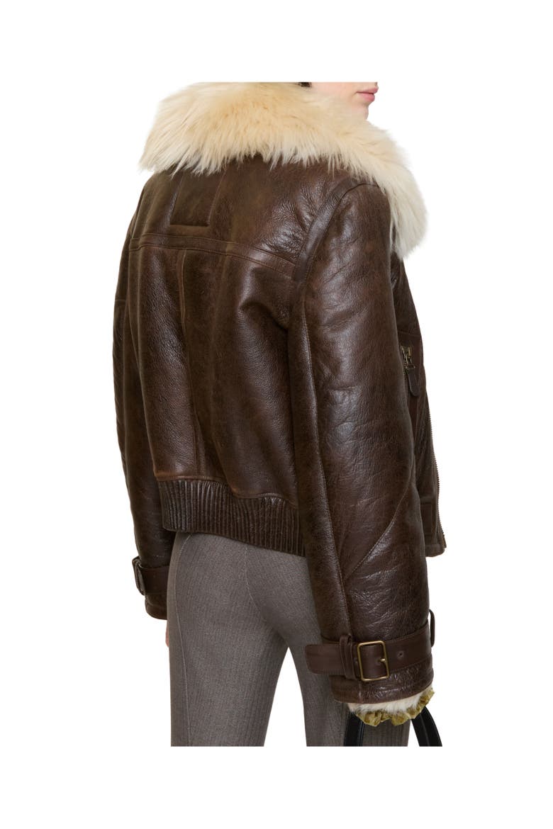 Cropped Shearling Aviator Jacket, Alternate, color, Dark brown