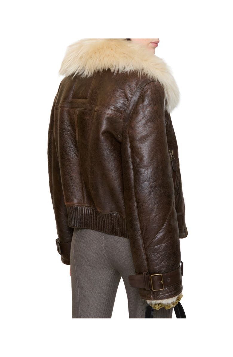 Burberry Cropped Shearling Aviator Jacket, Alternate, color, Dark Brown