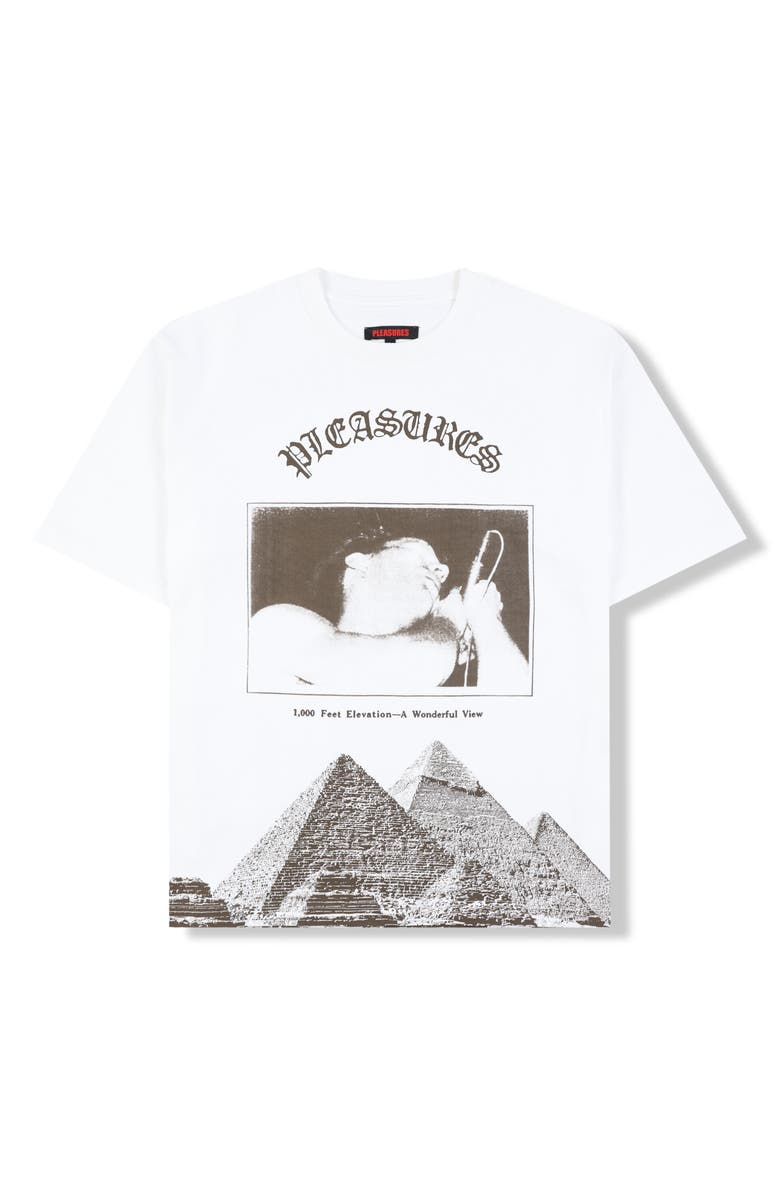 PLEASURES Elevation Heavyweight Cotton Graphic T-Shirt, Alternate, color, White