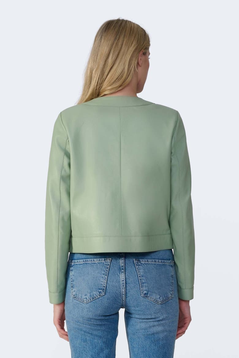Margot Leather Jacket, Alternate, color, Light Green