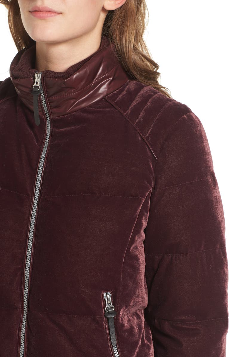 Andrew Marc Vita Down & Feather Fill Quilted Velvet Jacket, Alternate, color,