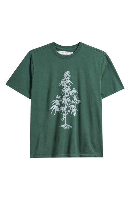 One Of These Days Away Go Trouble Graphic T-shirt In Green