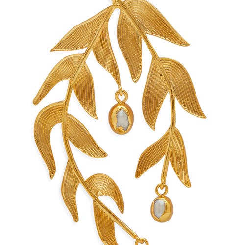 Dhwani Bansal Sooki Chandelier Earrings In Gold Plated