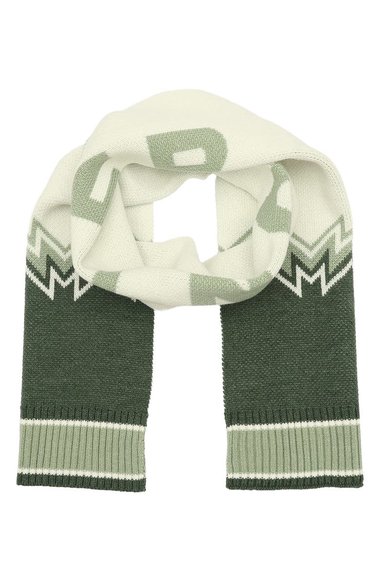 Hunter Fair Isle Intarsia Scarf, Main, color, 