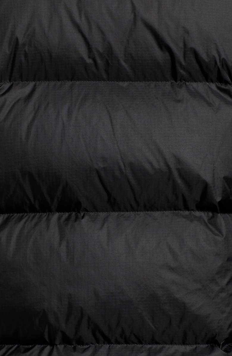 The North Face HMLYN Hooded Down Parka, Alternate, color,